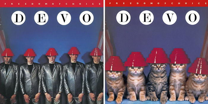 Обложки музыкальных альбомов с котятами Alfra Martini