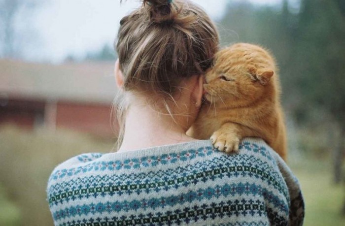 10 признаков того, что ваша кошка любит вас
