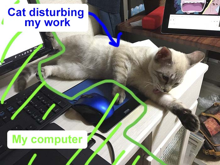 Японец создал защиту от кошек для клавиатуры и вот, что сделал его котейка