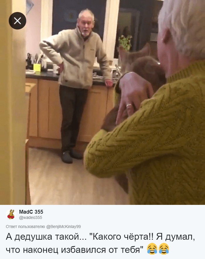 Внук возвращает бабуле котёнка, который пропал за неделю до этого