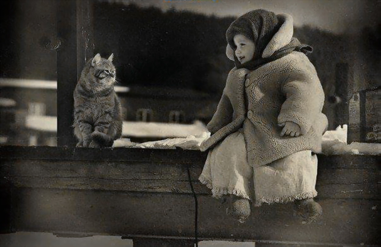 Олег Ярунин: сказочные фотографии с рыжим котом