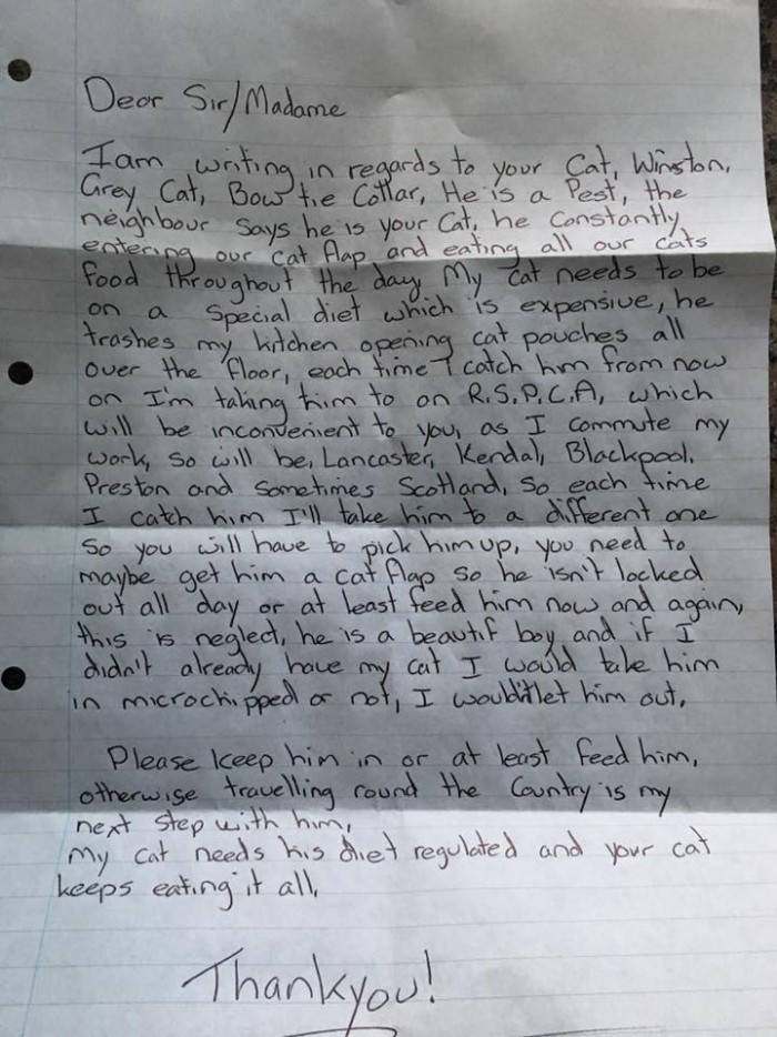Житель Великобритании получил письмо, в котором соседка грозится похитить его кота