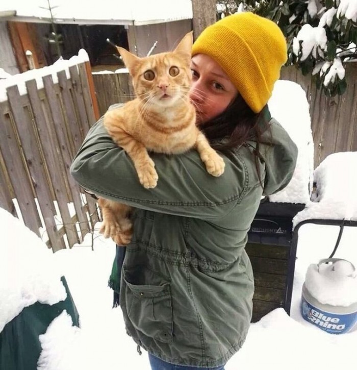 25 фото о сложных взаимоотношениях кошек со снегом