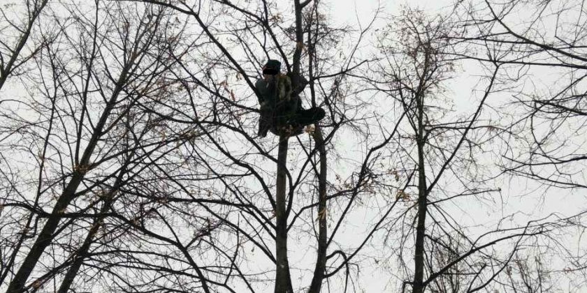В Ульяновске мальчик спас бездомную кошку с дерева