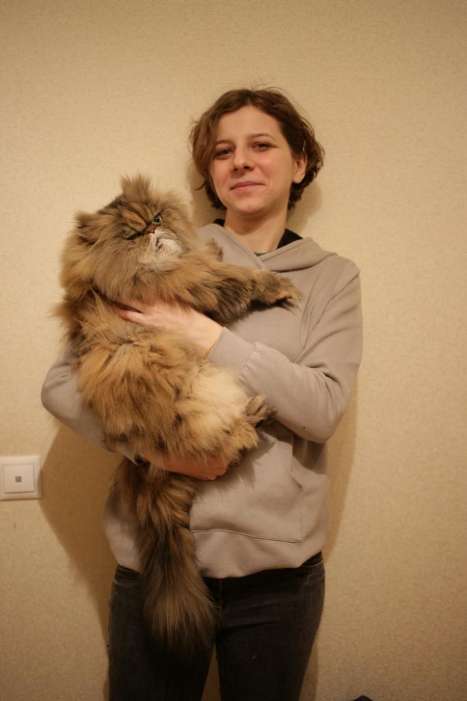 Рунет восхищен кошкой-уникумом Шерри, которую нужно вычесывать каждый день