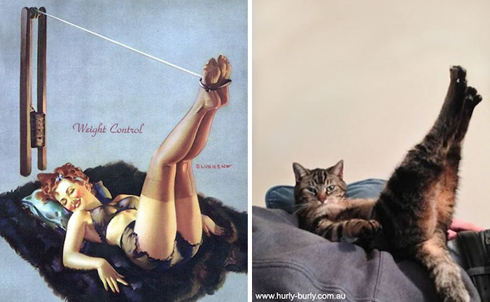 Кто из них «интереснее»? Пин-ап-девушки против кошек в борьбе за вашу любовь