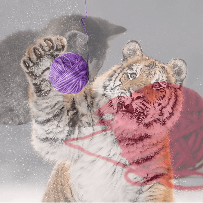 Тигр так игрался в снегу, что стал героем битвы фотошоперов. Ведь его морда хороша не только в лесу
