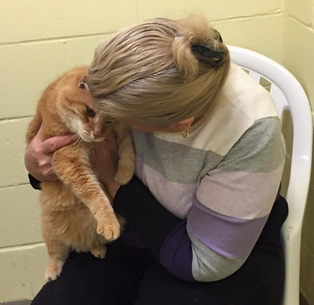 Женщина приютила пожилого кота, а после вернулась за его старым другом и забрала его домой