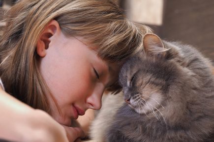 Аллергия на кошек: как проявляется и лечится