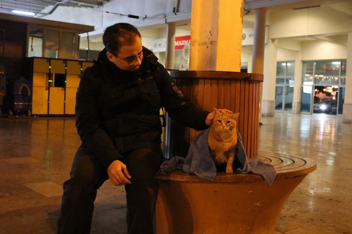 Зубной врач по вечерам ищет в городе бездомных животных, чтобы укрыть их от холода пледами и любовью