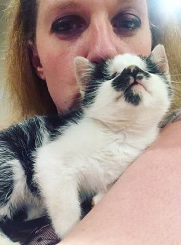 Женщина случайно услышала крик слепого котёнка в приюте и просто не смогла уйти оттуда без него