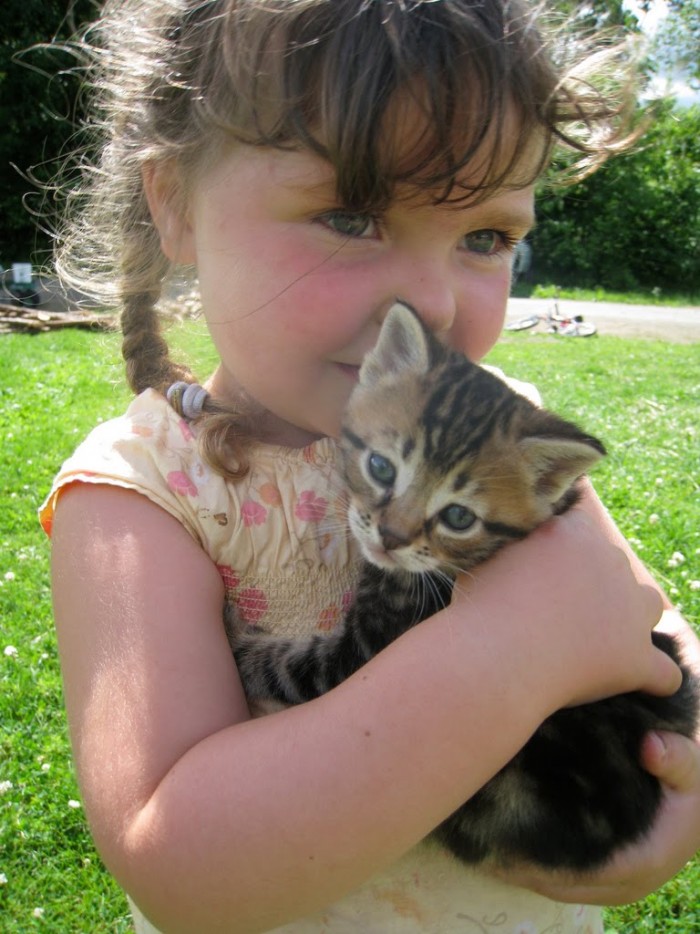 20 фотопримеров трогательной дружбы детей и кошек