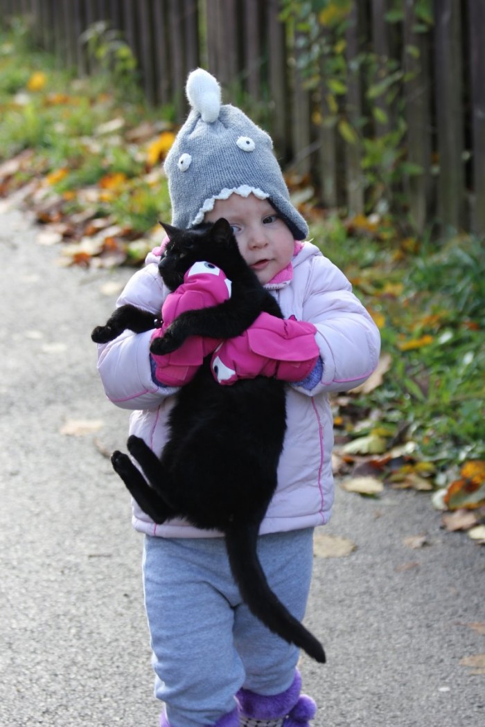 20 фотопримеров трогательной дружбы детей и кошек