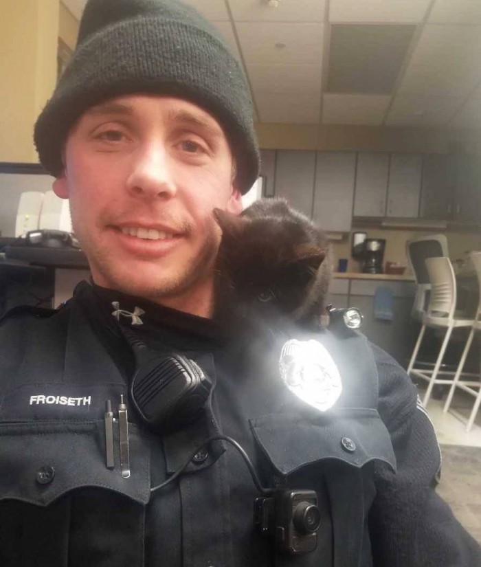 Полицейский спасает котёнка, застрявшего в заснеженном кювете – так начинается прекрасная дружба