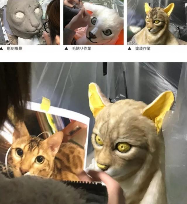 Девушка заказала маску в виде морды её кота, и его реакцию надо видеть