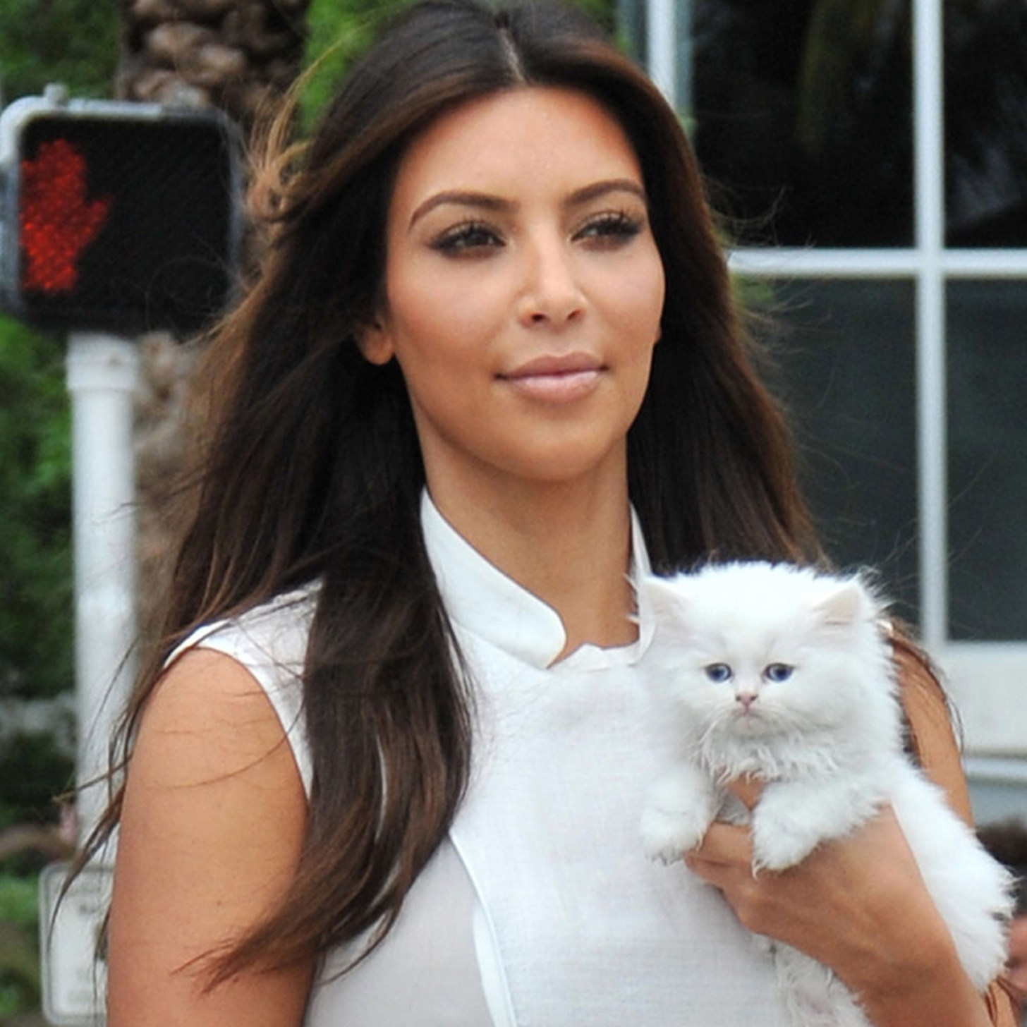 Женщина и кошка: 13 фото знаменитостей с очаровательными котейками