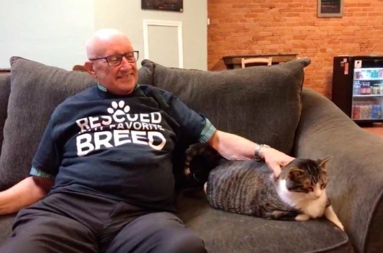 Вот уже полгода этот пожилой мужчина приходит в приют, чтобы поспать в обнимку с котами