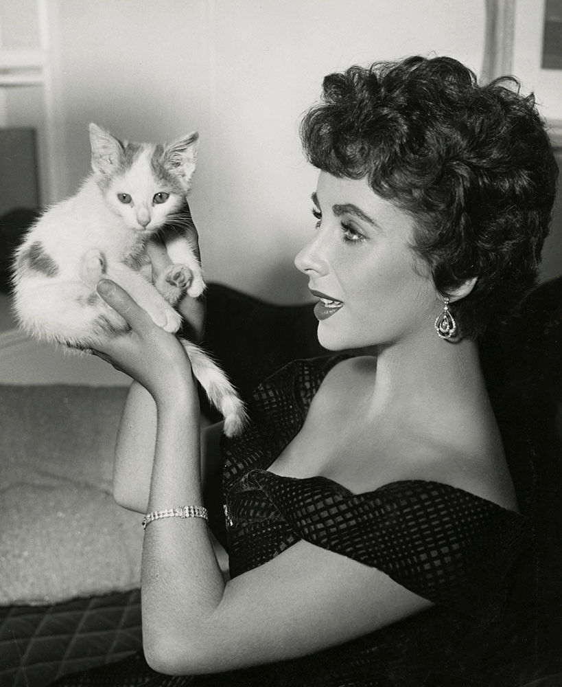 Женщина и кошка: 13 фото знаменитостей с очаровательными котейками