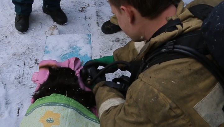Смоленские пожарные с помощью кислородной маски откачали спасенного кота