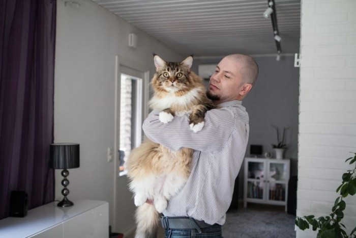 В Финляндии живет самый крупный кот в мире