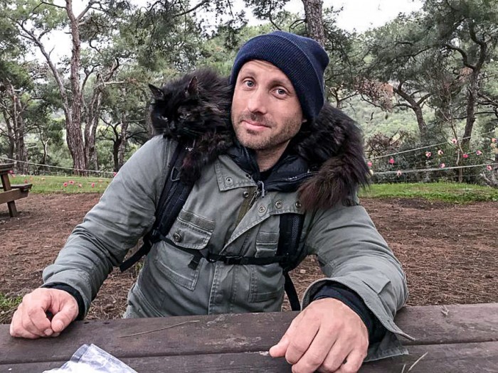 Мужчина сфоткал двух обнимающихся бездомных кошек — он уверяет, что это не постановка