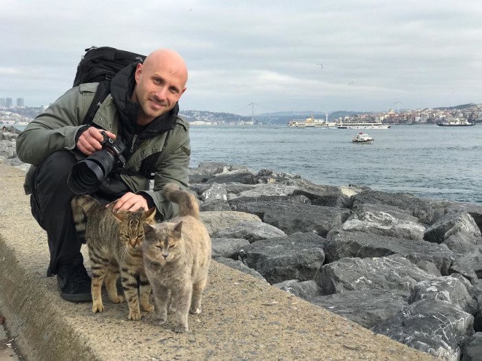 Мужчина сфоткал двух обнимающихся бездомных кошек — он уверяет, что это не постановка
