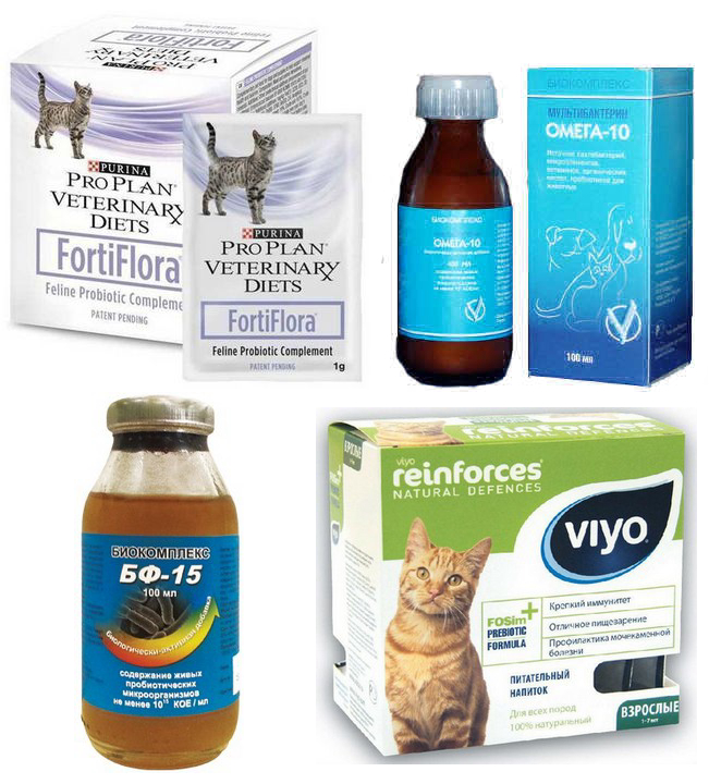 Кошка после антибиотиков. Препарат для микрофлоры кишечника собаки. Пробиотики для собак крупных пород. Пробиотики для кишечника собакам. Для пищеварения собаке препараты.