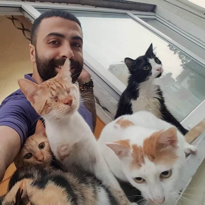 Он спас девятерых кошек, и теперь по ночам они приходят его благодарить!