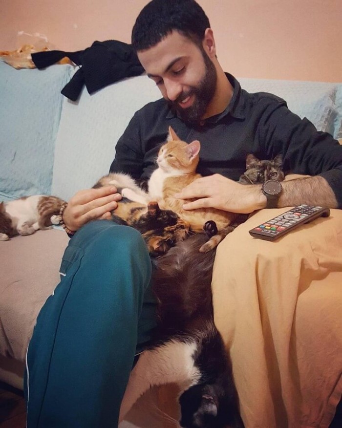 Он спас девятерых кошек, и теперь по ночам они приходят его благодарить!