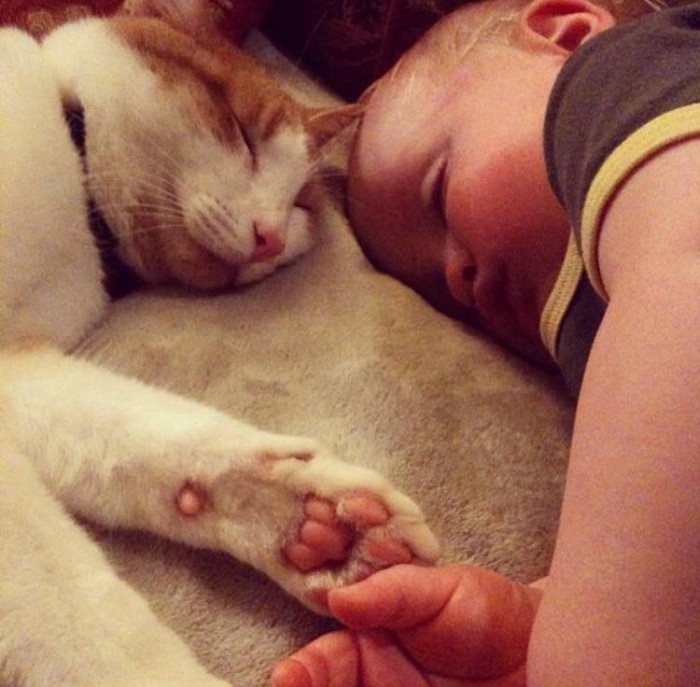 Милые и смешные фото, доказывающие, что дружба между детьми и котейками возможна