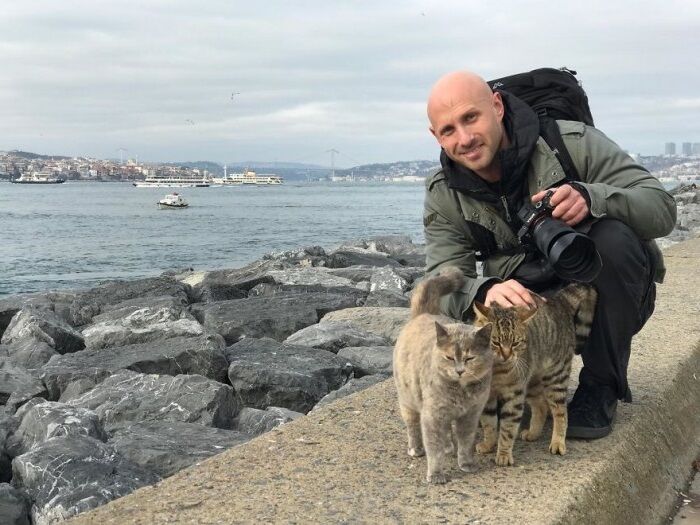 Мужчина сделал фото обнимающихся бродячих котов и утверждает, что это не постановка