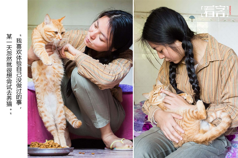 Кошачий бум охватил Китай: ради любимых котиков люди готовы на любые траты