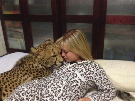 Британка спасла малыша гепарда от браконьеров, и в итоге не смогла оставить его в приюте